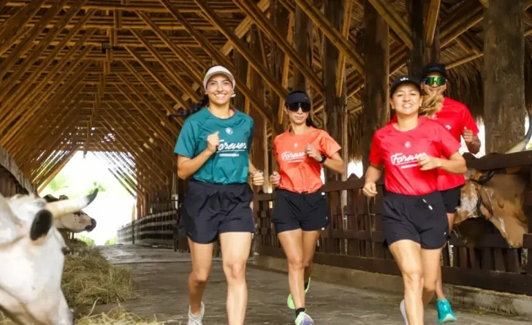  Convocan a Valle del Caucanos a un evento de carrera, entre los animales de Panaca, en el eje de café; Promueven el turismo con el deporte

 – En un click