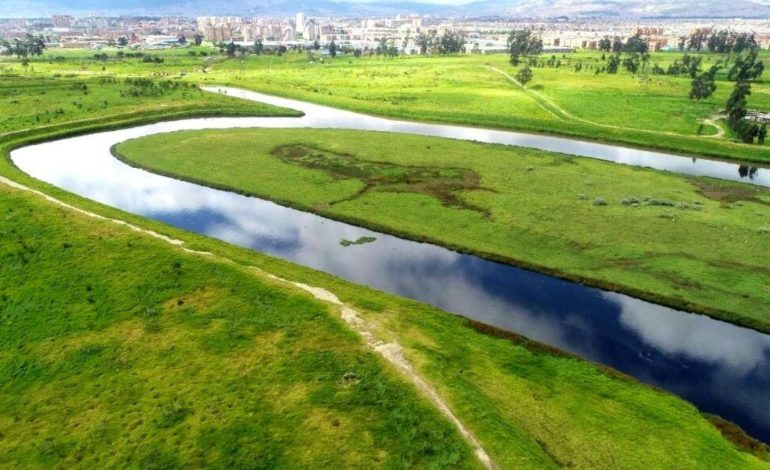  El poder de la información en defensa ambiental

 – En un click