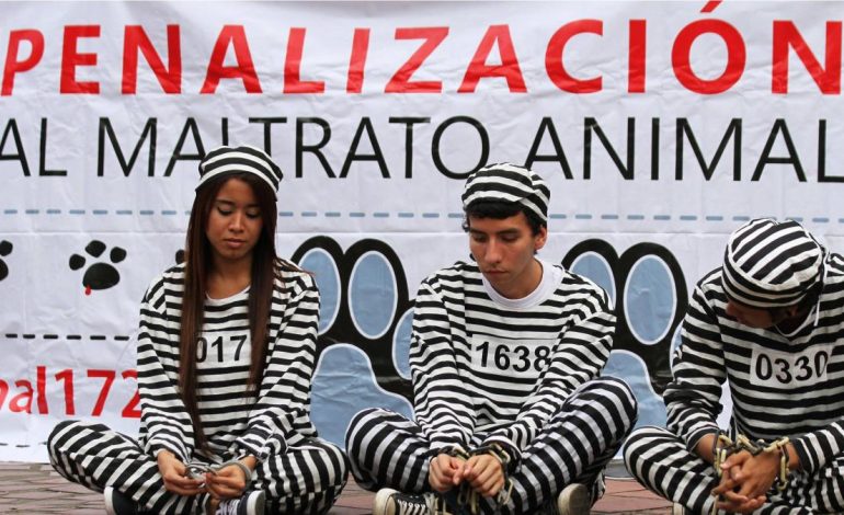  El animal se derrumbó, después de un ataque brutal con un machete

 – En un click