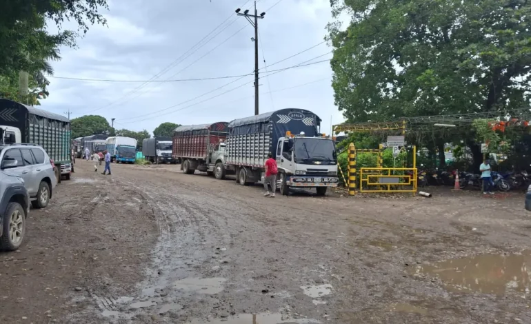  Los productores de arroz denuncian que las fábricas cerraron sus puertas y no reciben el cereal a los agricultores en la línea de meta

 – En un click