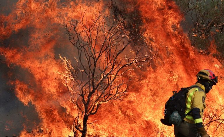  Fuego en España – 

 – En un click