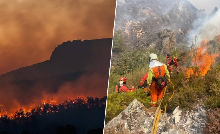  Antes de la gran ola de fuego en España, la ciencia ya tiene un culpable de su propagación: el cambio climático

 – En un click