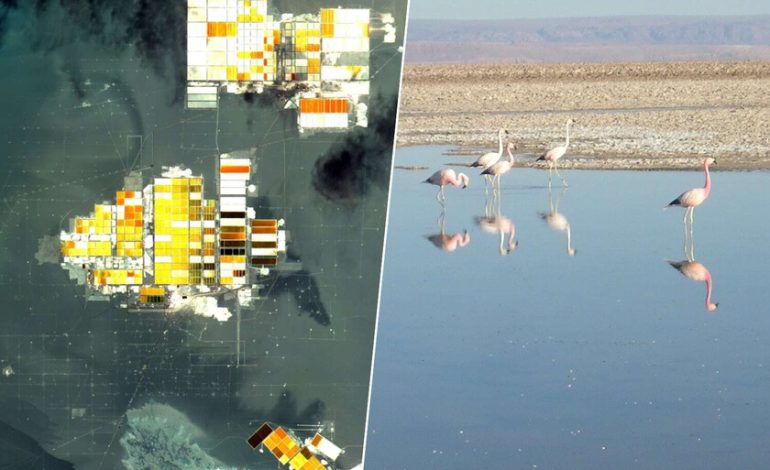  Cómo el desierto de Atacama muestra el precio ecológico de la descarbonización

 – En un click