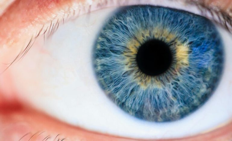 No hay nada para hacer azul en los ojos azules. Si queremos entender por qué, tenemos que recurrir a la física

 – En un click