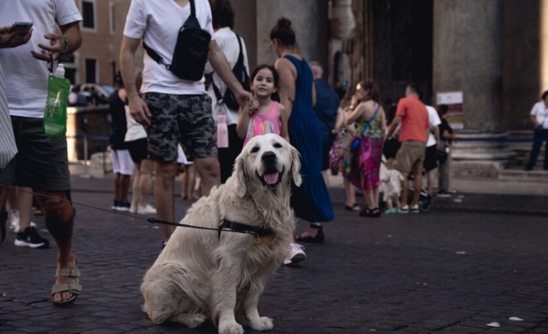 Un impuesto sobre los perros turísticos

 – En un click