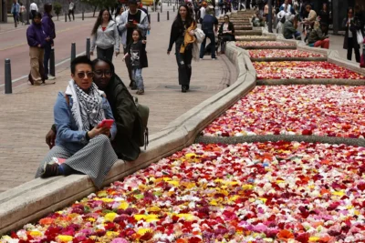  Un río de vestido de flores en medio de Bogotá como un preludio de la Bienal Bog25

 – En un click