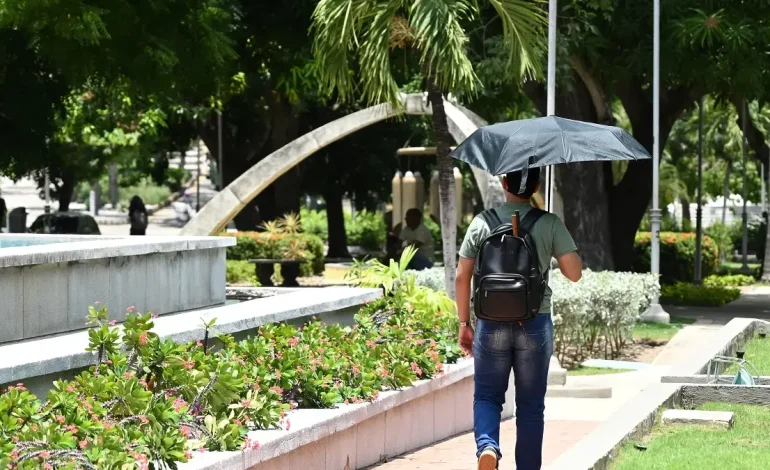  Con drones, inventarios de árboles y mediciones de calor, en Barranquilla diseñan una aplicación para caminar sobre rutas sombreadas durante la ola de calor

 – En un click
