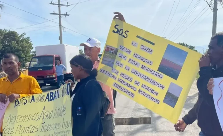  Nueva Venecia, atrapada entre agua y malas hierbas: la gente de Palafito que podría desaparecer

 – En un click