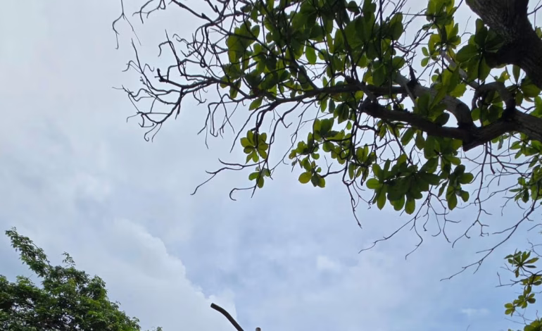  El robo sistemático de luminarias llega a los parques Barranquilla

 – En un click