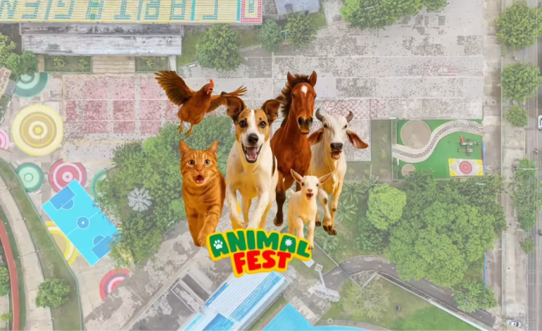  La ciudad vivirá su primer gran festival dedicado a bien, cuidados y amor por los animales.

 – En un click
