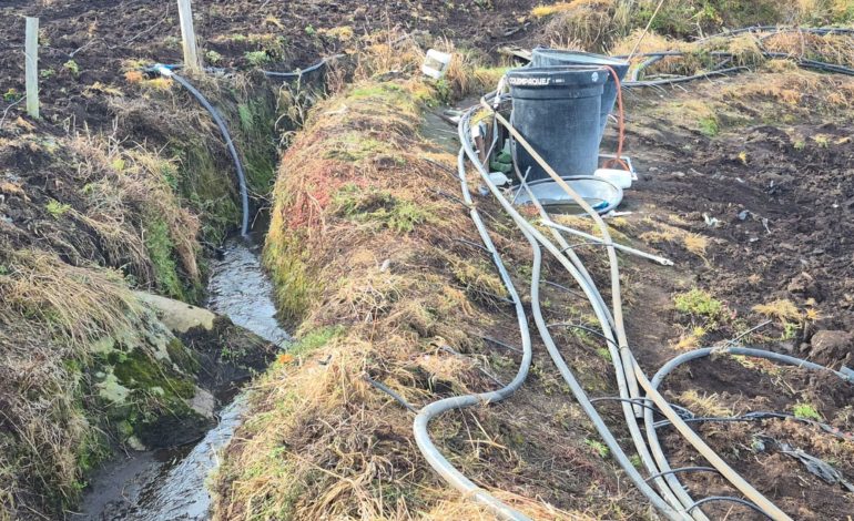  Pusieron el freno en la desviación del agua utilizada para las fresas en fatativá (cundinamarca)

 – En un click