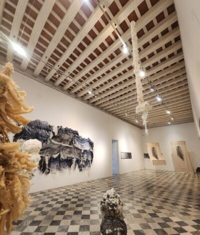  La artista de plástico Alicia de la Torre ofrece ‘Yunga: del territorio’ en Cartagena

 – En un click