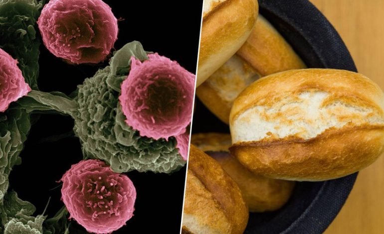  Un estudio acaba de correlacionarlos con un mayor riesgo de cáncer

 – En un click