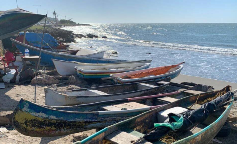 Dos millones de frios sembrarán para aumentar la pesca y en respuesta a la crisis de que los pescadores viven para la contaminación

 – En un click