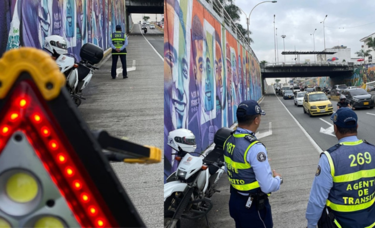 ¡Atención, conductor! Pico y placa en Cali para el jueves 16 de octubre de 2025
– En un click