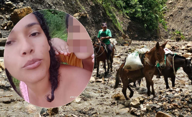Esta es Carmen Díaz, mujer que fue arrastrada por un barranco en Páez (Boyacá) mientras cruzaba a caballo para recoger a su esposo e hijos: así va la búsqueda
– En un click