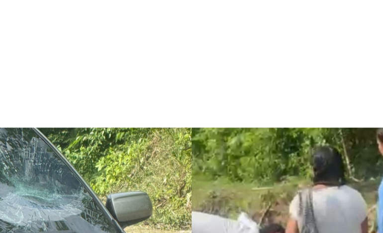 Dos muertos y tres heridos deja un accidente vial en la vía a Playa Blanca, en la Isla de Barú
– En un click