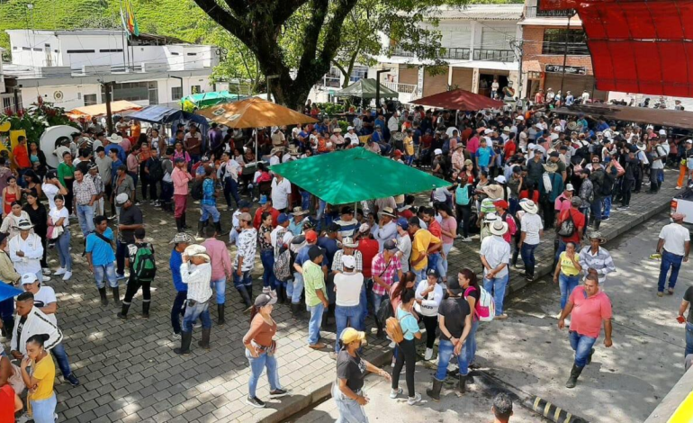 600 agricultores de Briceño, Antioquia, fueron desplazados de sus pueblos por orden de grupos al margen de la ley
– En un click