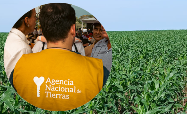 ¿Qué está pasando en Puerto Gaitán? Las dos versiones en disputa entre la ANT y los menonitas por tierras en Altillanura; denuncian presunto despojo
– En un click