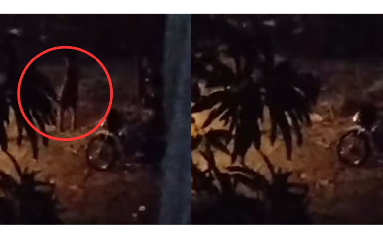 Autoridades investigan desaparición de joven que se lanzó al arroyo El Salao en Soledad: Aún se desconoce su identidad
– En un click