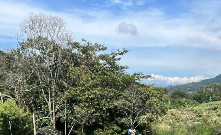 Ejército desmantela red de minería ilegal que se encargaba de financiar a disidencias de las Farc en Santander de Quilichao
 – En un click