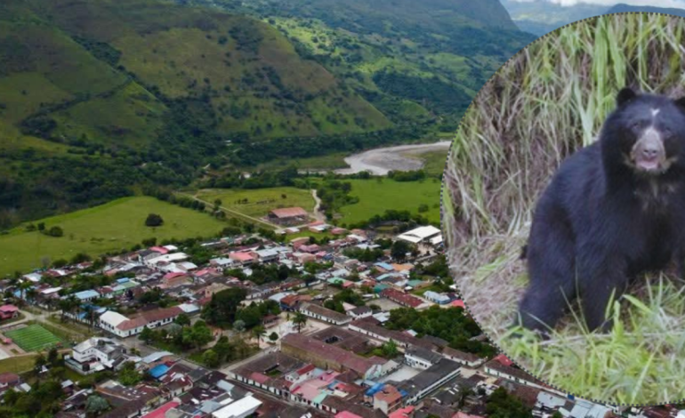 ahora los campesinos los protegen

 – En un click