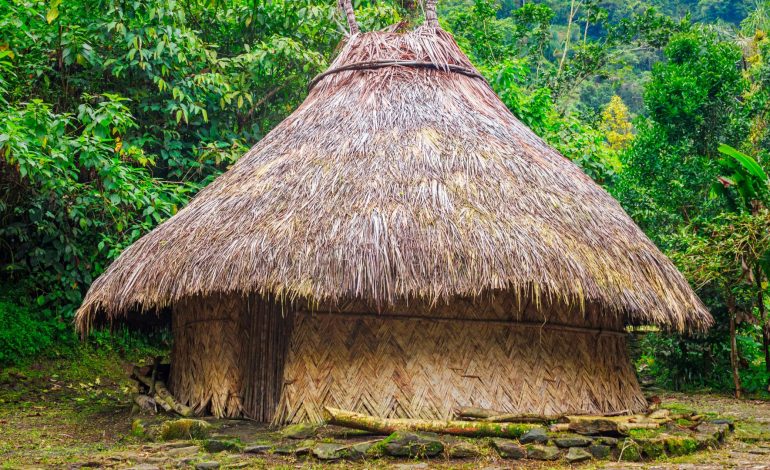 Santa Marta se posiciona como la capital verde del Caribe con el lanzamiento del Sierra Valley

 – En un click
