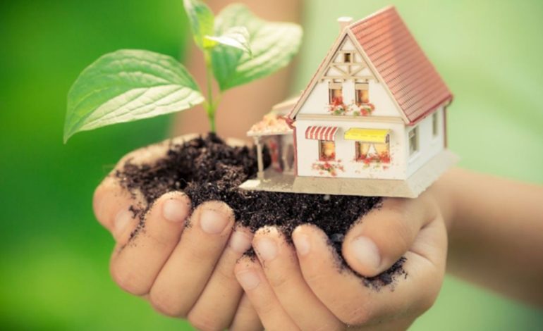Decoración sostenible: tendencias eco para un hogar responsable
– En un click