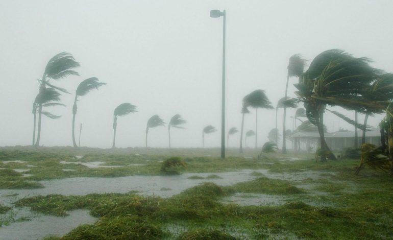 Alerta en el Caribe por tormenta tropical Melissa

 – En un click