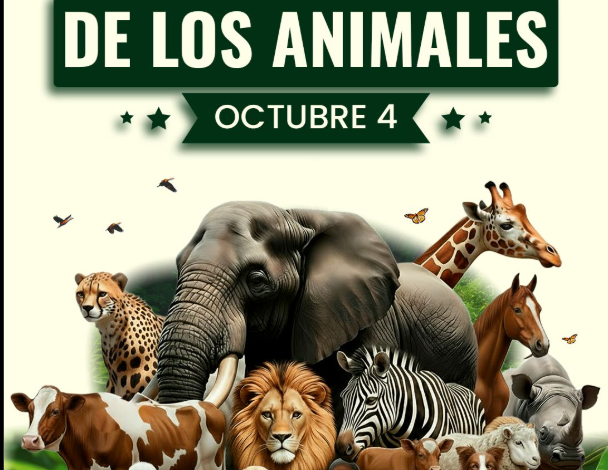 4 de octubre: el planeta levanta la voz para aquellos que no pueden hacerlo – 

 – En un click