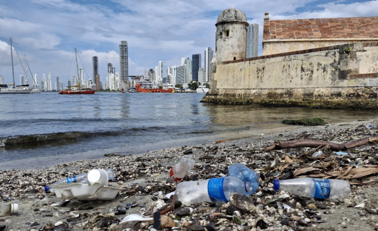 Estudio revela grave impacto en playas, manglares y fauna marina
– En un click