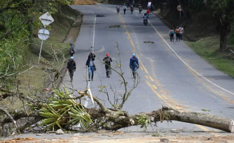 Gremios del Valle elevaron preocupante llamado al Gobierno Nacional
– En un click