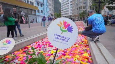 El monstruo de flores más importante en Estados Unidos comienza en Bogotá con más de 1500 compradores

 – En un click
