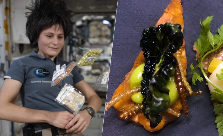 Los insectos llevan décadas viajando al espacio. Ahora la ESA estudia ponerlos en las placas de los astronautas

 – En un click