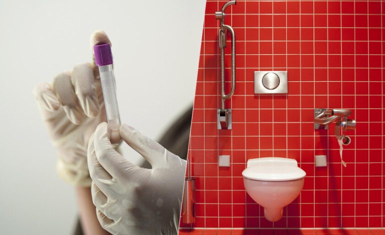 Hace años, los trasplantes de microbiota parecían sacados de la ciencia ficción. Hoy ya están curando enfermedades.

 – En un click