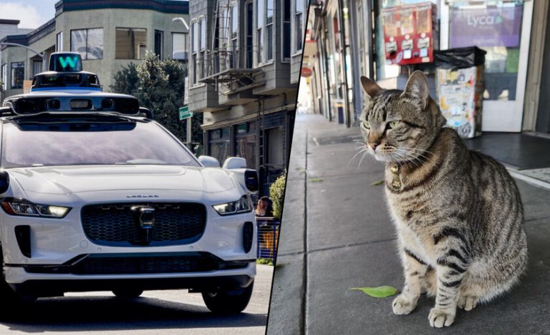 Estamos más indignados por sus errores que por los humanos.

 – En un click