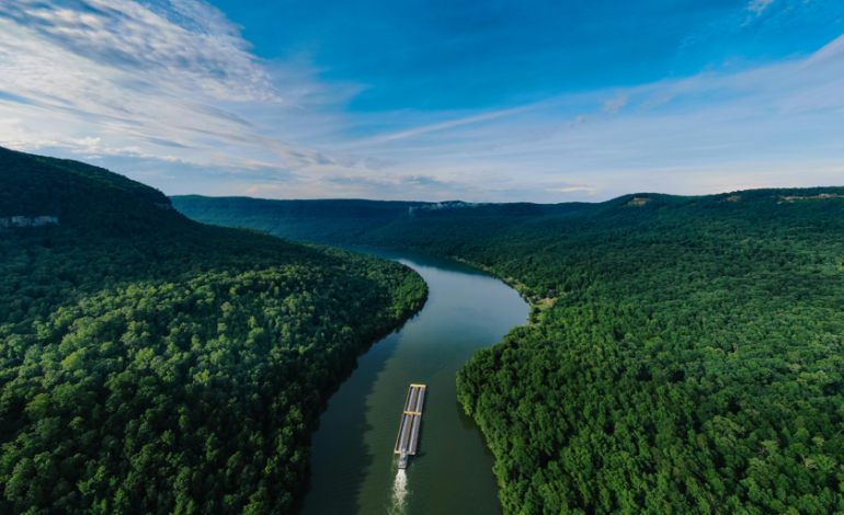  Qué es el medio ambiente, cómo funciona y por qué es clave para nuestra supervivencia – En un click