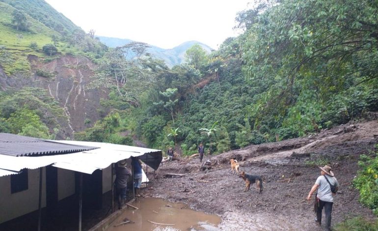 39 muertes han dejado 292 movimientos masivos durante 2025

 – En un click