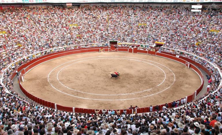 Dudas sobre la aplicación de la ley ‘No más olé’ durante la ‘fiesta brava’ de fin de año

 – En un click