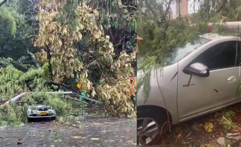 En lo que va de 2025 se han atendido más de 6.800 emergencias, de las cuales 1.844 han sido provocadas por fuertes lluvias

 – En un click