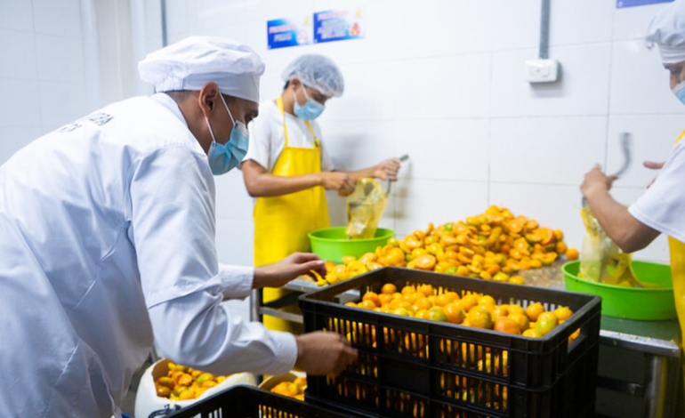 un motor que genera más de 6 mil millones de dólares pero aún enfrenta pérdidas en construcción y manufactura
– En un click