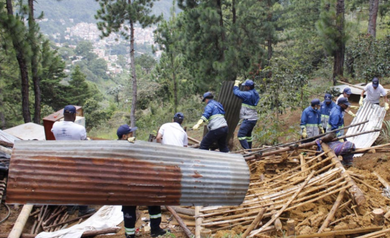 Derribadas diez construcciones ilegales en área protegida

 – En un click