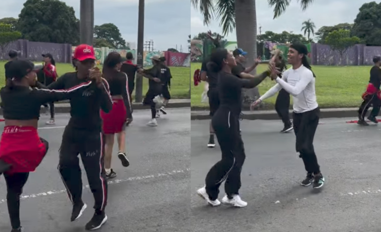 Ensayo del ‘Salsódromo’ de Cali terminó en emergencia por ataque de abejas

 – En un click