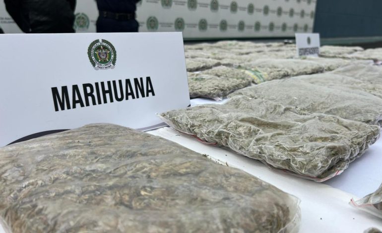  La policía incautó 60 kilogramos de marihuana en un almacén de reciclaje

 – En un click