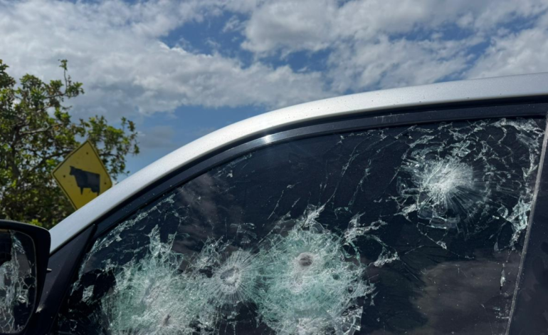 Investigan a disidencias del ELN y FARC

 – En un click