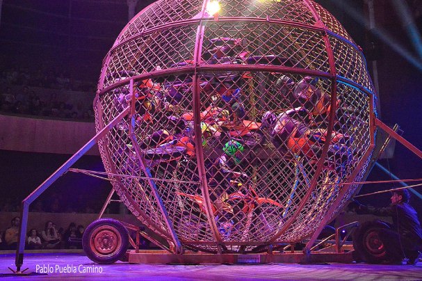 Acróbata muere en el ‘globo de la muerte’ durante una función de circo en Italia – 

 – En un click