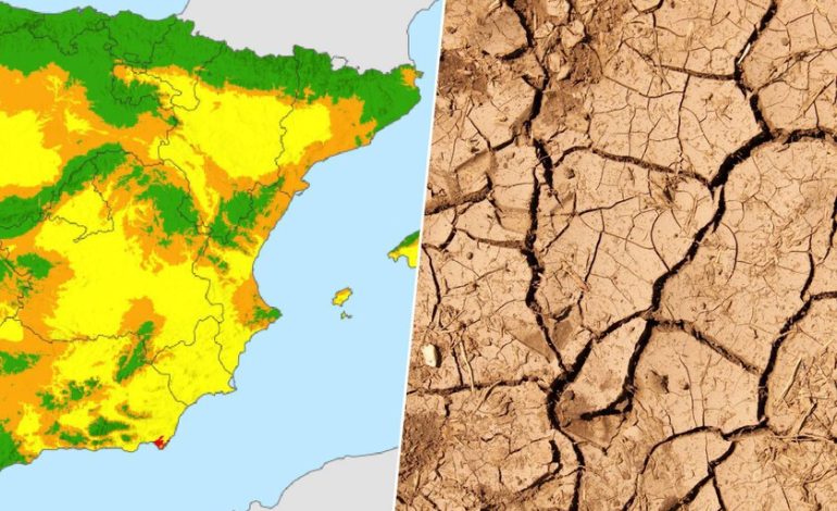  El 40% del suelo ya está ‘enfermo’

 – En un click