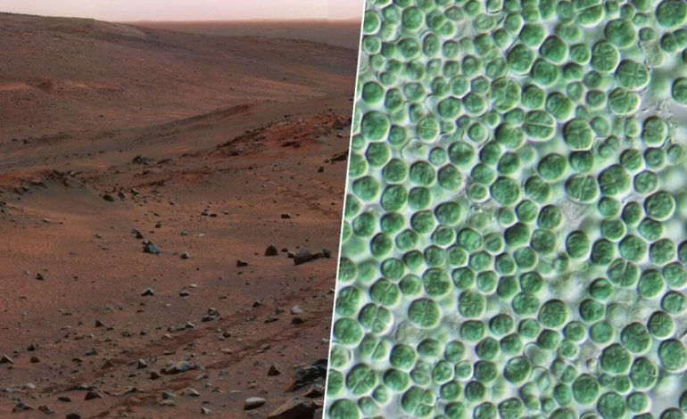  uno crea cemento, el otro lo protege

 – En un click