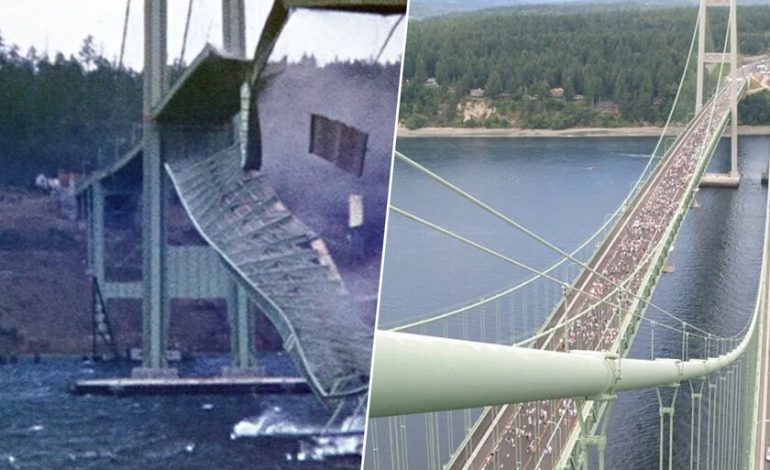  También cambió la ingeniería para siempre.

 – En un click