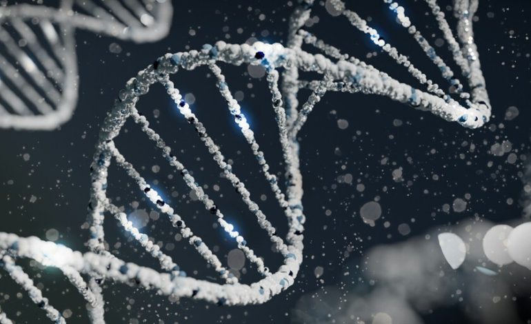  Hemos encontrado la evidencia genética de incesto más antigua de Europa. Y es un caso de padre e hija.

 – En un click